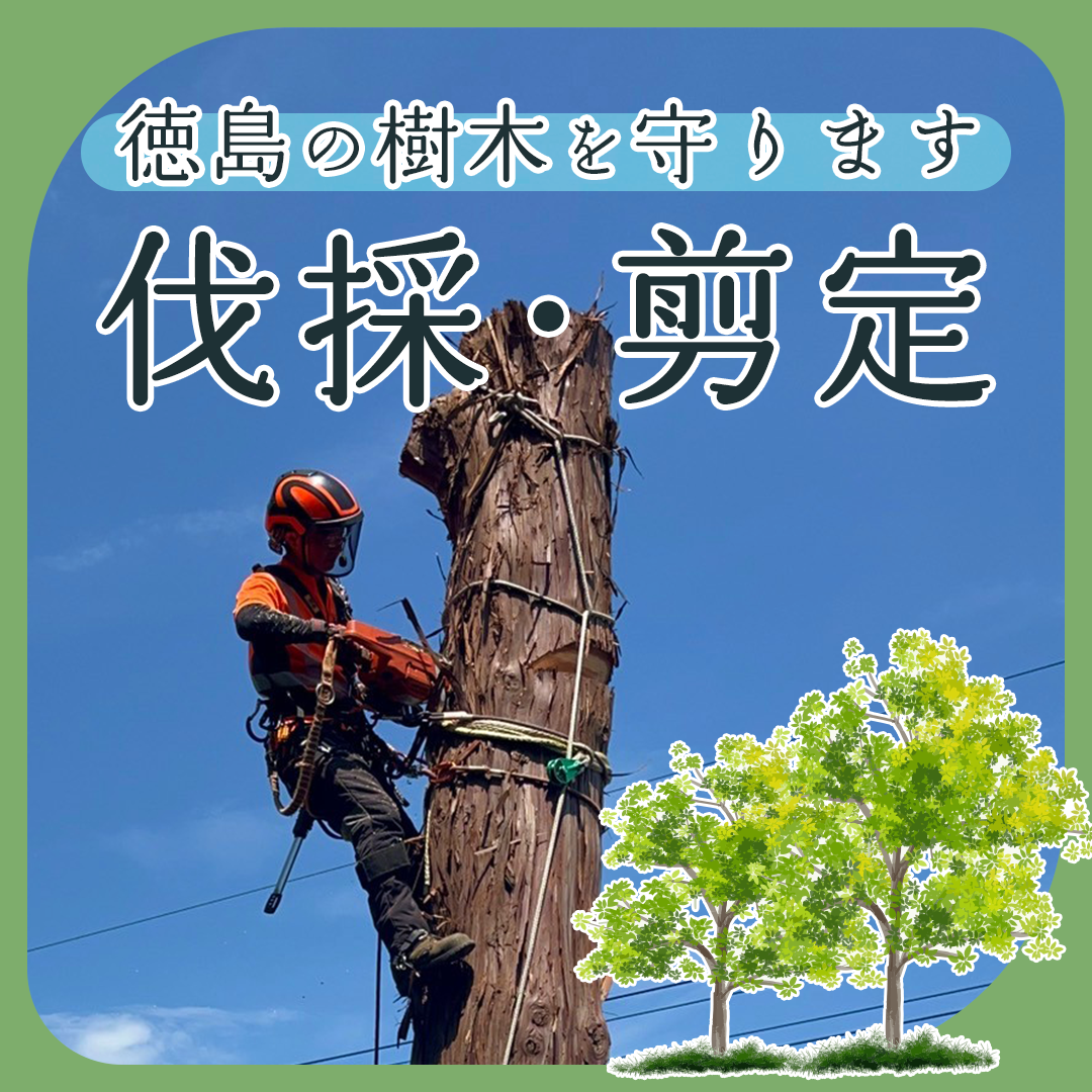 popup_banner