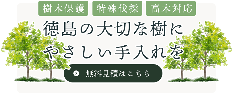 樹木を大切にして次世代へ繋ぐ