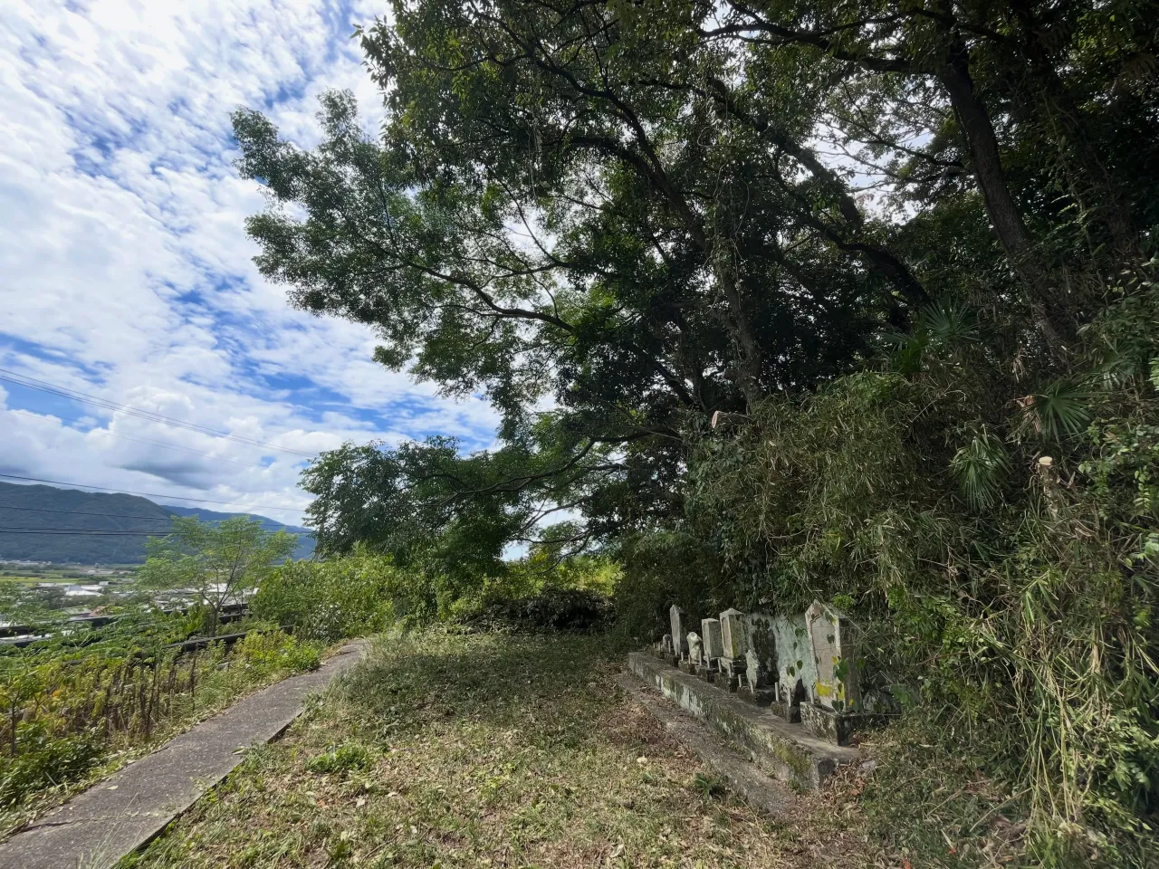 美馬市美馬町で国指定史跡の段の塚穴の剪定をさせて頂きました。