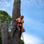 代表あいさつ